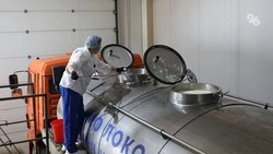 На Ставрополье надоили почти 600 тыс. тонн молока за год