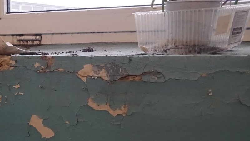 Госжилинспекция оценит состояние домов по улице Ленина в Ставрополе