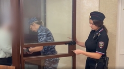 Адвокат торговала оформленной по подложным документам землёй на Ставрополье