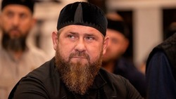 Скакун Рамзана Кадырова вернулся в Чечню спустя 9 лет пребывания в Чехии