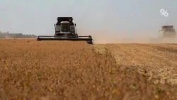 Минпром Ставрополья: аграриям хватило топлива для уборки урожая