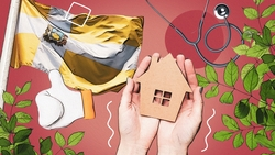 Качество проиндексировано: по каким направлениям Ставрополь стал лучшим среди городов РФ