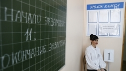 Нарушений при проведении ГИА становится меньше — глава Рособрнадзора