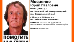 Пропавшего мужчину с голубыми глазами и седыми волосами ищут на Ставрополье