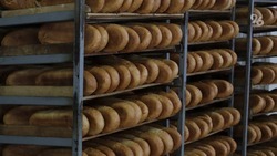 На Ставрополье проработают возможность увеличения субсидий на социальный хлеб