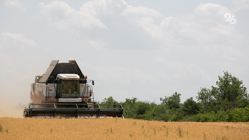 Сельхозугодья на Ставрополье занимают 5,7 млн га