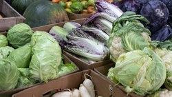 Ярмарки выходного дня пройдут 20 и 21 мая в Ставрополе