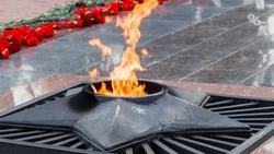 Панно «Поколения победителей» установят в Кировском округе около Вечного огня