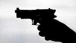 Незаконно торговавших боеприпасами и оружием мужчин задержали на Ставрополье 