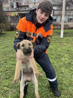 За новогодние праздники спасатели Ставрополья выехали на происшествия 92 раза