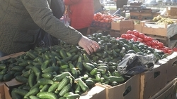 Две ярмарки пройдут в Ставрополе 6 апреля