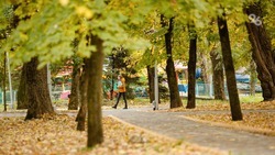 До 15 градусов тепла ожидается на Ставрополье в субботу