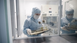 На повышение зарплат медиков Ставрополья в 2026 году заложено 600 млн рублей