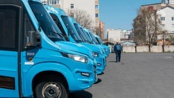 Дополнительные автобусы по маршруту № 10 в Михайловске запустят с 1 сентября