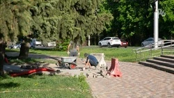 Новую программу «Двор ветерана» разработают на Ставрополье