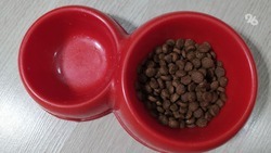 Более 120 тонн кошачьего корма неизвестного происхождения обнаружили в магазинах Ставрополья