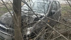 В Пятигорске водитель-пенсионер погиб после съезда с дороги, врезавшись в дерево