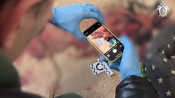 В Ставрополе обнаружили тела мужчины и двух детей с огнестрельными ранениями