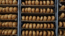 Стоимость хлеба на Ставрополье расти не будет