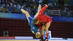 Дети Ставрополья смогут заниматься самбо на уроках физкультуры