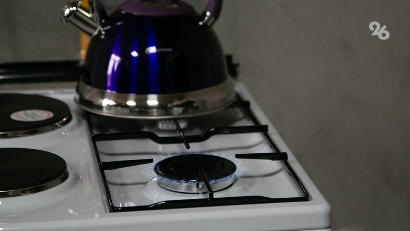 Губернатор поручил минпрому помочь с газификацией участка ставропольчанки в СНТ