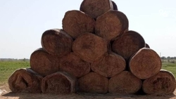 Более 20 тыс. тонн сена собрали аграрии в Предгорном округе 