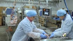  «Ростелеком» развернул VPN для агропромышленной группы «Индеаль»