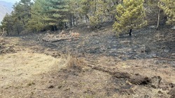Пожар, неделю бушевавший в лесу Левашинского района Дагестана, потушили