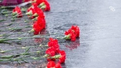 Останки восьми участников ВОВ нашли и захоронили в Степновском округе 