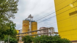 Заводы по производству карбамида и сжиженного газа построят на Ставрополье