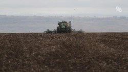 Ставропольские учёные нашли способ сократить выбросы углекислого газа