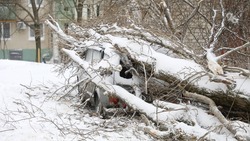 Больше 9 миллионов рублей выплатили пострадавшим от январского урагана в Ставрополе