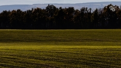 Организацию оштрафовали за 110 млн рублей ущерба окружающей среде Ставрополья