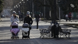 Детские коляски на 21 млн рублей закупят для пунктов проката на Ставрополье