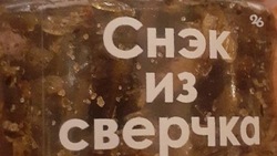 Единственное предприятие на Ставрополье будет изготавливать продукцию из сверчковой муки