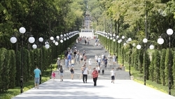 Аренда квартир на Ставрополье обойдётся туристам дешевле, чем отели