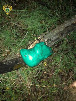 Пожизненное заключение грозит закладчикам за сбыт наркотиков на Ставрополье