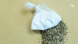 Сотрудников колонии в Ставрополе поймали на попытке пронести наркотики заключённым