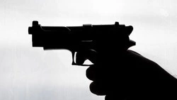 На Ставрополье селянин нашёл боевой пистолет и спрятал его в сейф