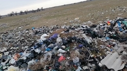 Кишечную бактерию и канцерогены обнаружили на сельхозучастке, принадлежащем ставропольской исправительной колонии