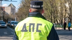 На Ставрополье мужчину оштрафовали за то, что его внучка выглянула из люка авто