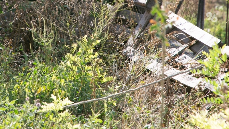 На Ставрополье ликвидировали 246 бесхозных скотомогильников благодаря прокуратуре