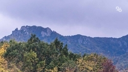 Офицер полиции из Москвы погиб в Кабардино-Балкарии