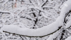 Первый осенний снег 2025 года выпал на Эльбрусе 7 сентября