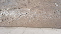 Из реки Кубань на Ставрополье взяли пробы для выяснения причин загрязнения