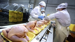 Продукцию аграриев Ставрополья экспортируют более чем в 50 стран мира