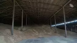 Ставрополье экспортировало более 2,4 миллионов тонн зерна в страны ближнего зарубежья