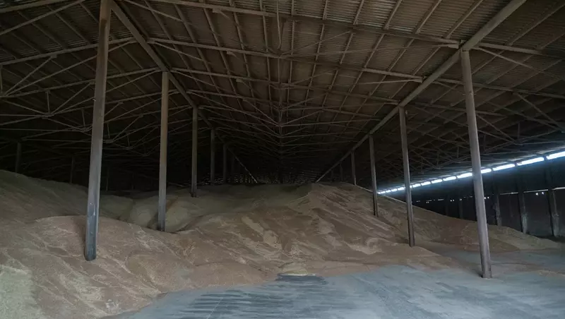 Ставрополье экспортировало более 2,4 миллионов тонн зерна в страны ближнего зарубежья