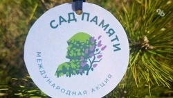 Акция «Сад памяти» продлится в Кировском округе до 9 мая