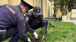 В субботнике «Зелёная Россия» приняли участие полицейские Ессентуков